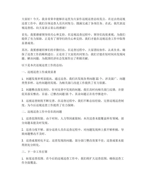 巡视巡查总结发言稿范文