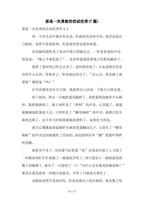 那是一次勇敢的尝试优秀(7篇)