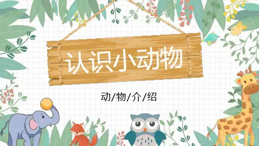 简约可爱卡通认识小动物模板