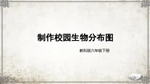 教科版科学六年级下册第2课 制作校园生物分布图课件