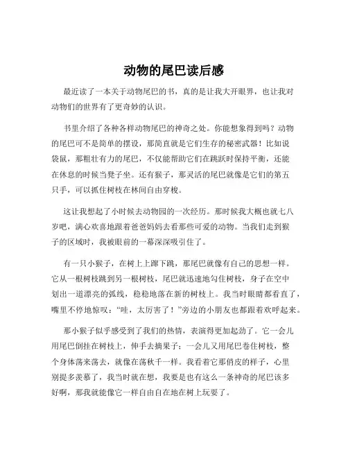 动物的尾巴读后感