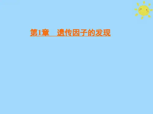 高中生物遗传因子的发现第1节孟德尔的豌豆杂交实验第2课时分离定律的相关规律方法和解题思路课件新人教版