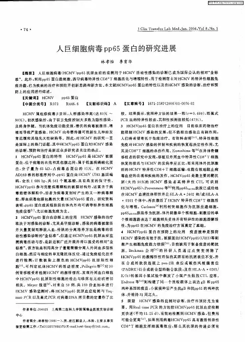 人巨细胞病毒pp65蛋白的研究进展