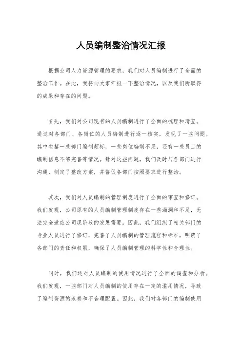 人员编制整治情况汇报
