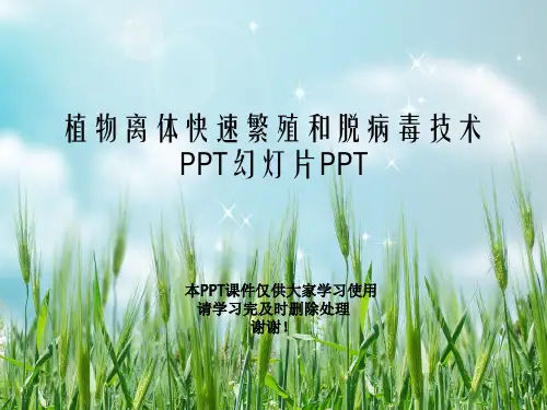 植物离体快速繁殖和脱病毒技术PPT幻灯片PPT