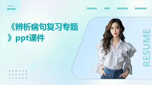 《辨析病句复习专题》课件
