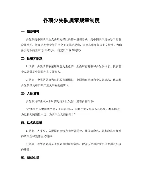 各项少先队规章规章制度