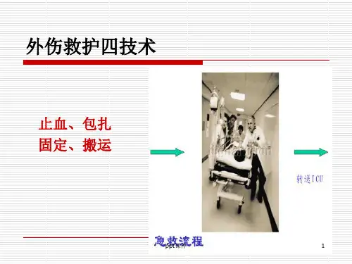 止血包扎固定搬运  ppt课件