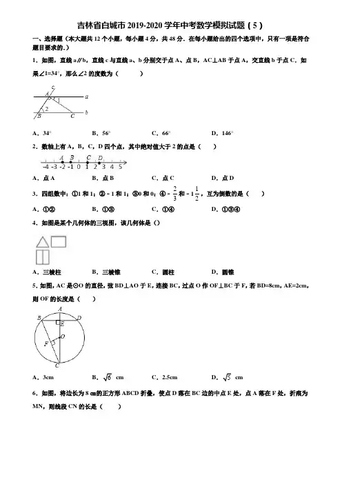 吉林省白城市2019-2020学年中考数学模拟试题(5)含解析