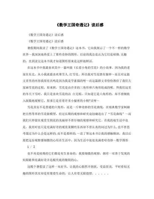 《数学王国奇遇记》读后感 
