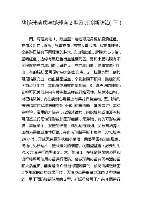 猪链球菌病与链球菌2型及其诊断防治(下)