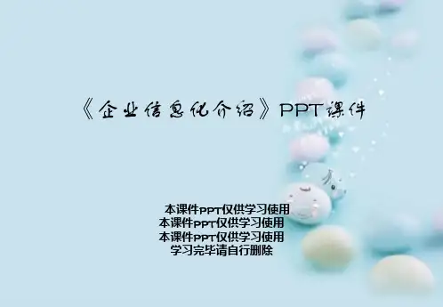 《企业信息化介绍》PPT课件