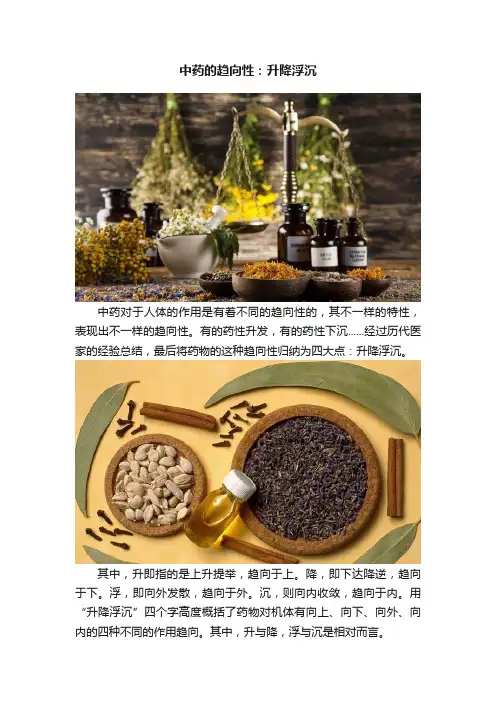 中药的趋向性：升降浮沉