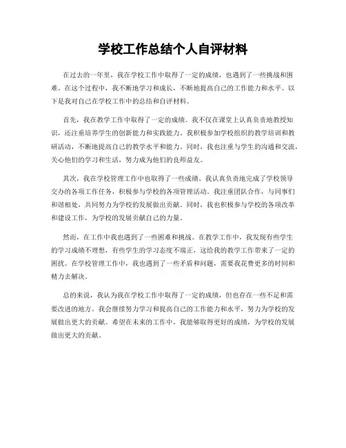 学校工作总结个人自评材料