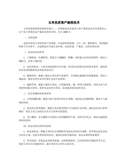 玉米优质高产栽培技术