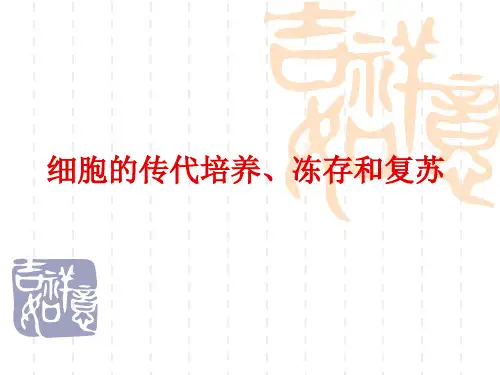 12.13细胞的传代培养冻存和复苏
