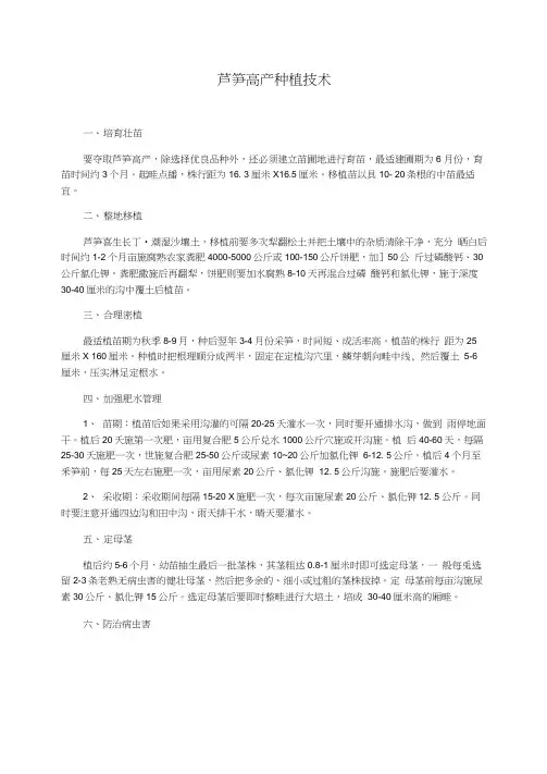 芦笋高产种植技术
