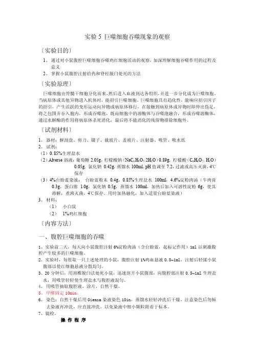 细胞生物学实验5巨噬细胞吞噬现象的观察