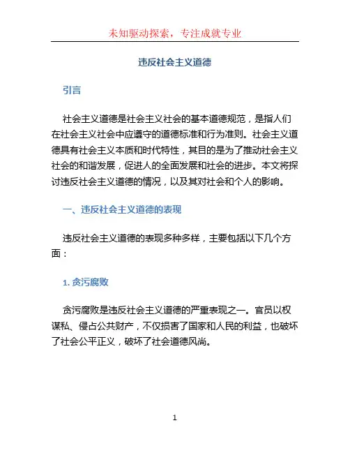 违反社会主义道德 (2)