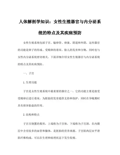 人体解剖学知识：女性生殖器官与内分泌系统的特点及其疾病预防