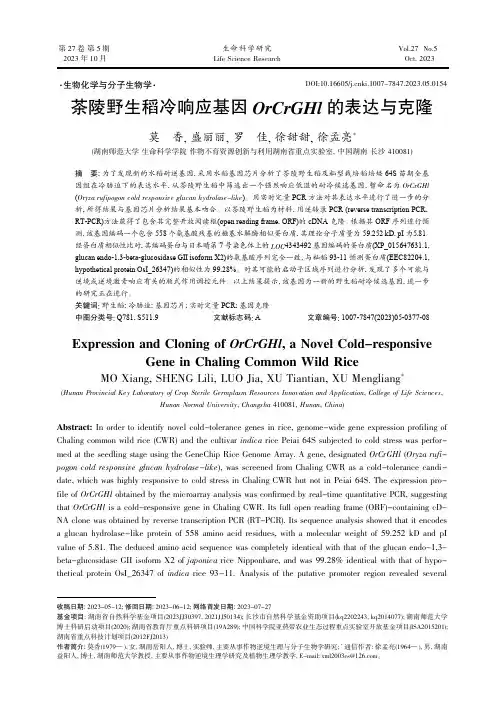 茶陵野生稻冷响应基因OrCrGHl_的表达与克隆