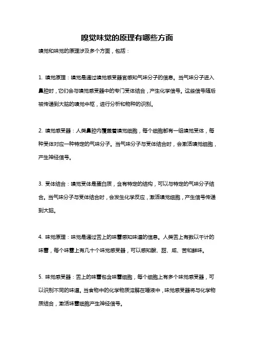 嗅觉味觉的原理有哪些方面