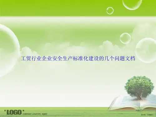工贸行业企业安全生产标准化建设的几个问题讲课文档