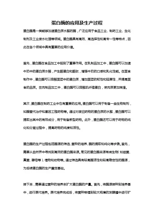 蛋白酶的应用及生产过程