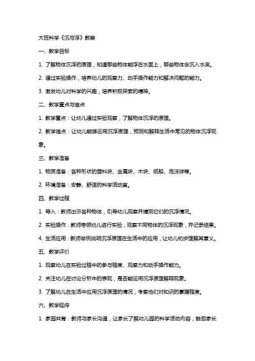 大班科学《沉与浮》教案