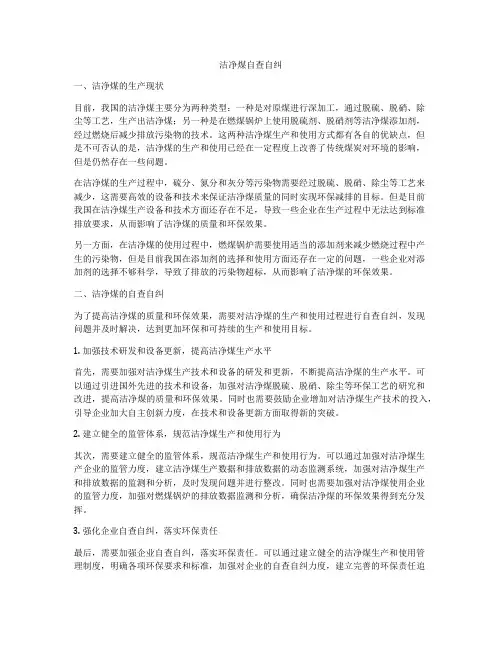 洁净煤自查自纠
