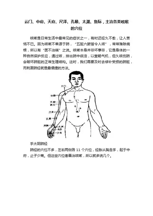 云门、中府、天府、尺泽、孔最、太渊、鱼际，主治各类咳嗽的穴位
