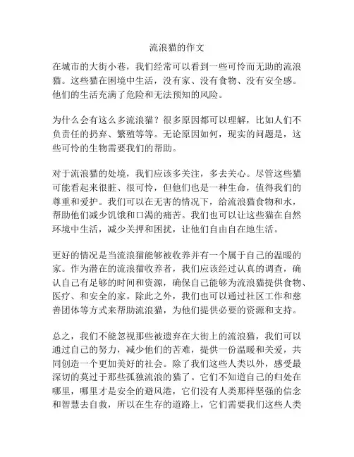 流浪猫的作文