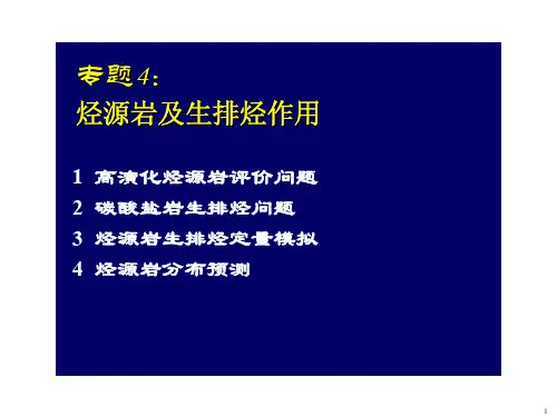 烃源岩及生排烃作用
