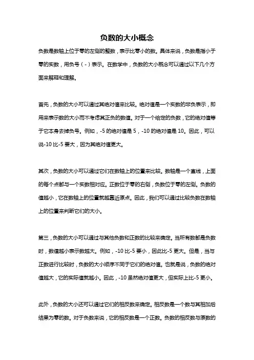 负数的大小概念