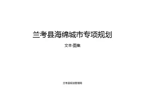 海绵城市专项规划文本.doc