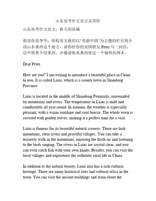 山东高考作文范文及赏析