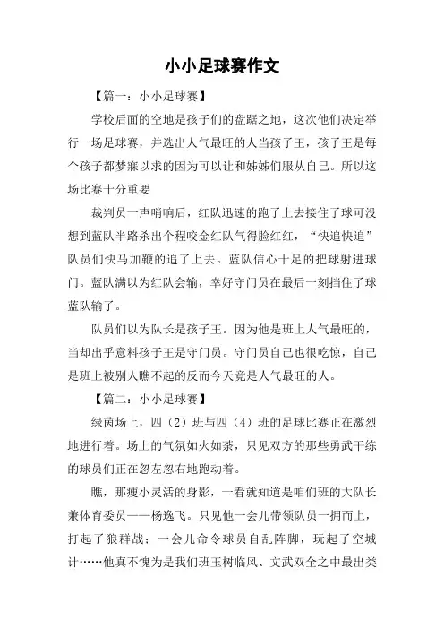 小小足球赛作文