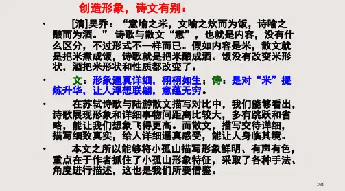 过小孤山大孤山公开课PPT课件市公开课一等奖省赛课微课金奖PPT课件