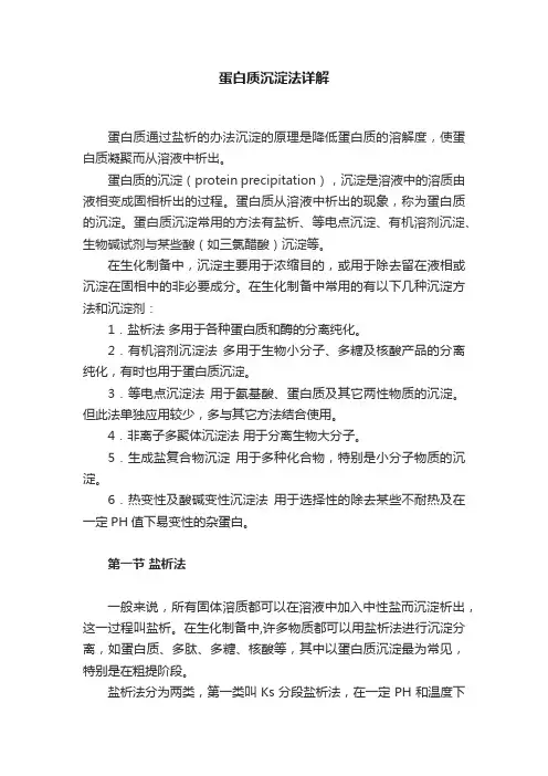 蛋白质沉淀法详解