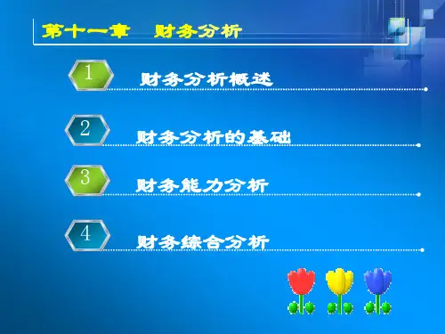 11-第十一章 财务分析