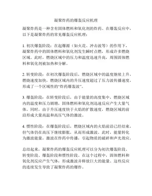 凝聚炸药的爆轰反应机理
