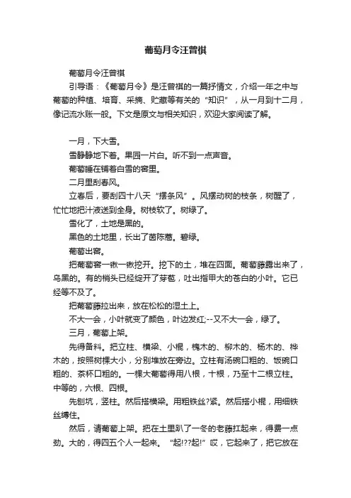 葡萄月令汪曾祺
