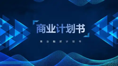 视频栏目商业计划书ppt