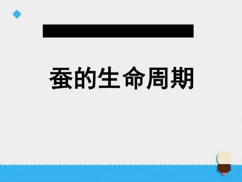 《蚕的生命周期》动物的生命周期PPT课件 (共20张PPT)