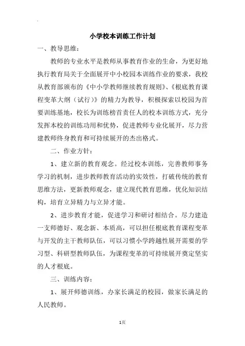 小学校本训练工作计划
