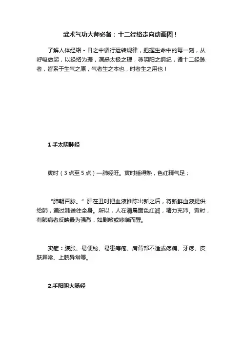 武术气功大师必备：十二经络走向动画图！