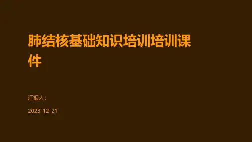 肺结核基础知识培训培训课件