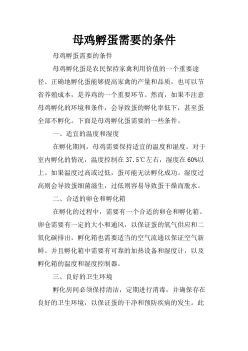 母鸡孵蛋需要的条件