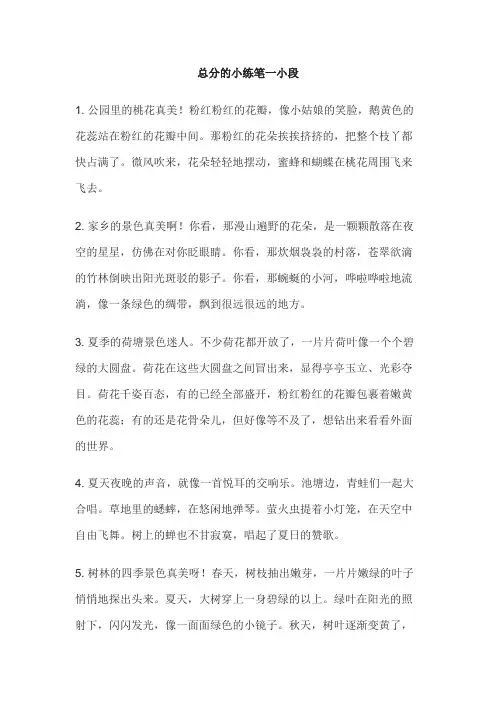 总分的小练笔一小段