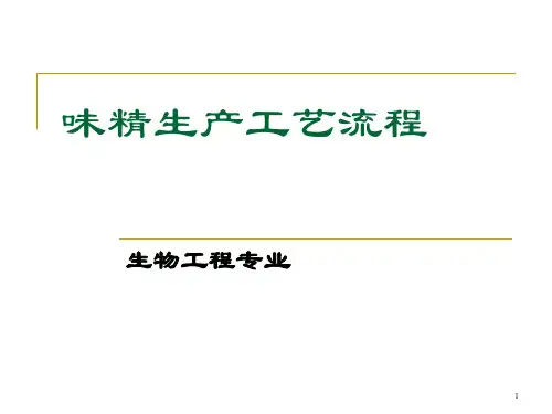 味精生产工艺流程ppt课件